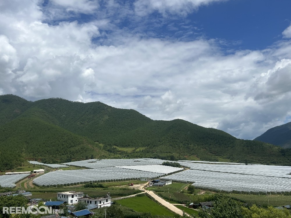 麗江市蘋果種植主產(chǎn)區(qū)海拔2400-2700米，良好的立體環(huán)境條件造就了麗江蘋果糖度高、果肉緊密、硬度高、無污染的品質(zhì)特點。2019年，在全國種植產(chǎn)區(qū)的甄選中，鑫榮懋選定了云南省麗江市蘋果優(yōu)勢產(chǎn)區(qū)作為未來蘋果種植項目的實施地，目前已種植新西蘭引進的優(yōu)良蘋果品種。鑫榮懋以新品種、新技術(shù)及高品質(zhì)為發(fā)展蘋果種植的新契機，