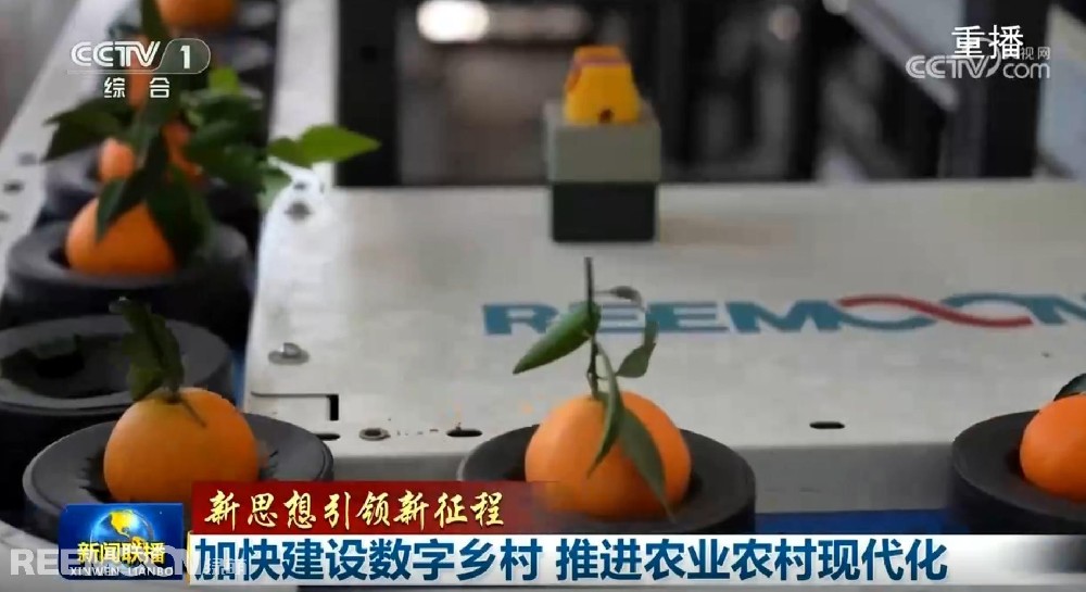 又又又上央視了2025開年見喜綠萌在半月之內(nèi)兩次登上《新聞聯(lián)播》2025年1月1日央視《新聞聯(lián)播》聚焦《甘肅省天水市麥積區(qū)南山花牛蘋果》其中一組畫面中綠萌蘋果雙通道分選線上鏡這條分揀線對蘋果的大小、色澤、瑕疵、糖度、霉心等指標進行精準檢測分級助推花牛蘋果做大做強助力果農(nóng)增收致富10