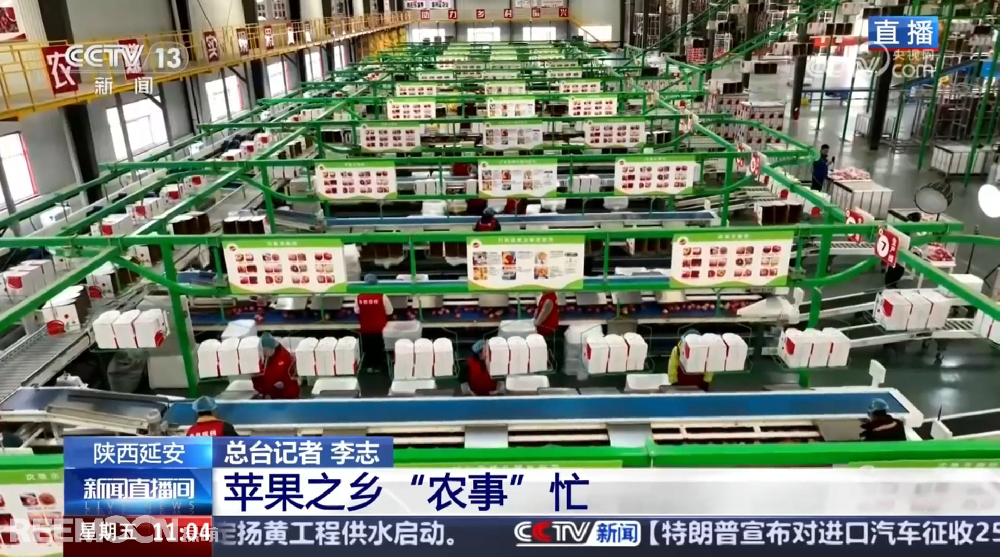 春天是希望的季節(jié)陜西延安是我國蘋果的優(yōu)生區(qū)和主產區(qū)蘋果之鄉(xiāng)正呈現(xiàn)出一片繁忙的景象3月28日，CCTV13新聞頻道聚焦陜西延安蘋果產業(yè)發(fā)展展現(xiàn)中國農業(yè)現(xiàn)代化與鄉(xiāng)村振興的生動實踐PART.01智能分選線：給蘋果做“體檢”，助力果農增收致富延安甘泉縣分揀車間內綠萌智能分選設備高效運轉通過人工智能和圖像處理技術對傳送帶上的